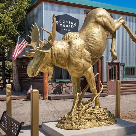 Hotel The Bucking Moose West Yellowstone Exteriér fotografie